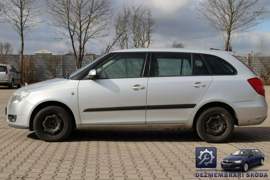 Catalizator skoda fabia 2010