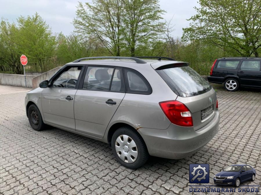 Luneta skoda fabia 2010