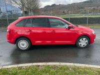 Punte fata skoda rapid 2012